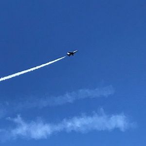 Meet your Posher, Paul